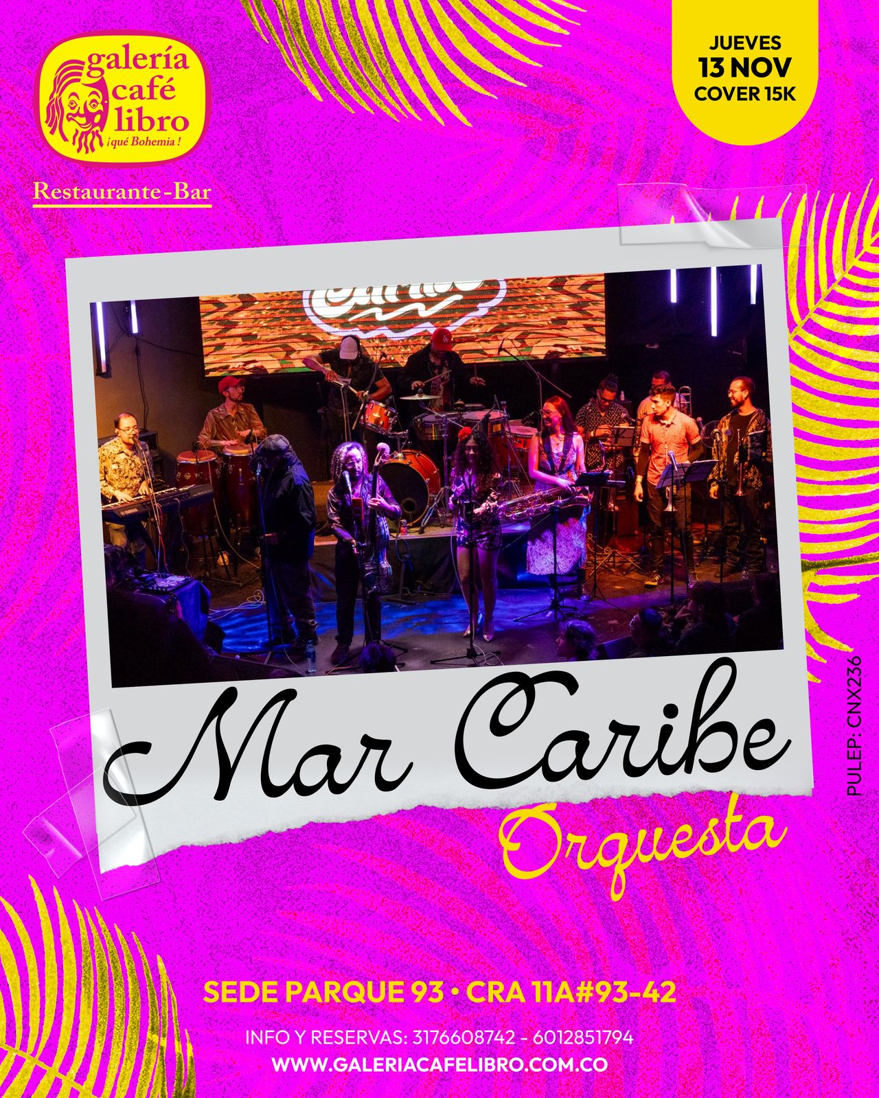 Imagen promoción Mar Caribe Orquesta